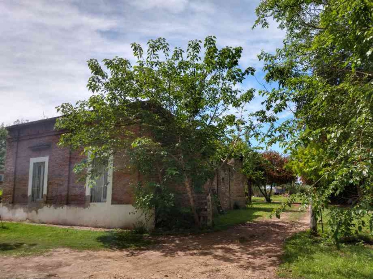 Venta