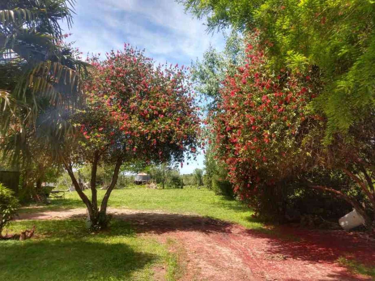Venta