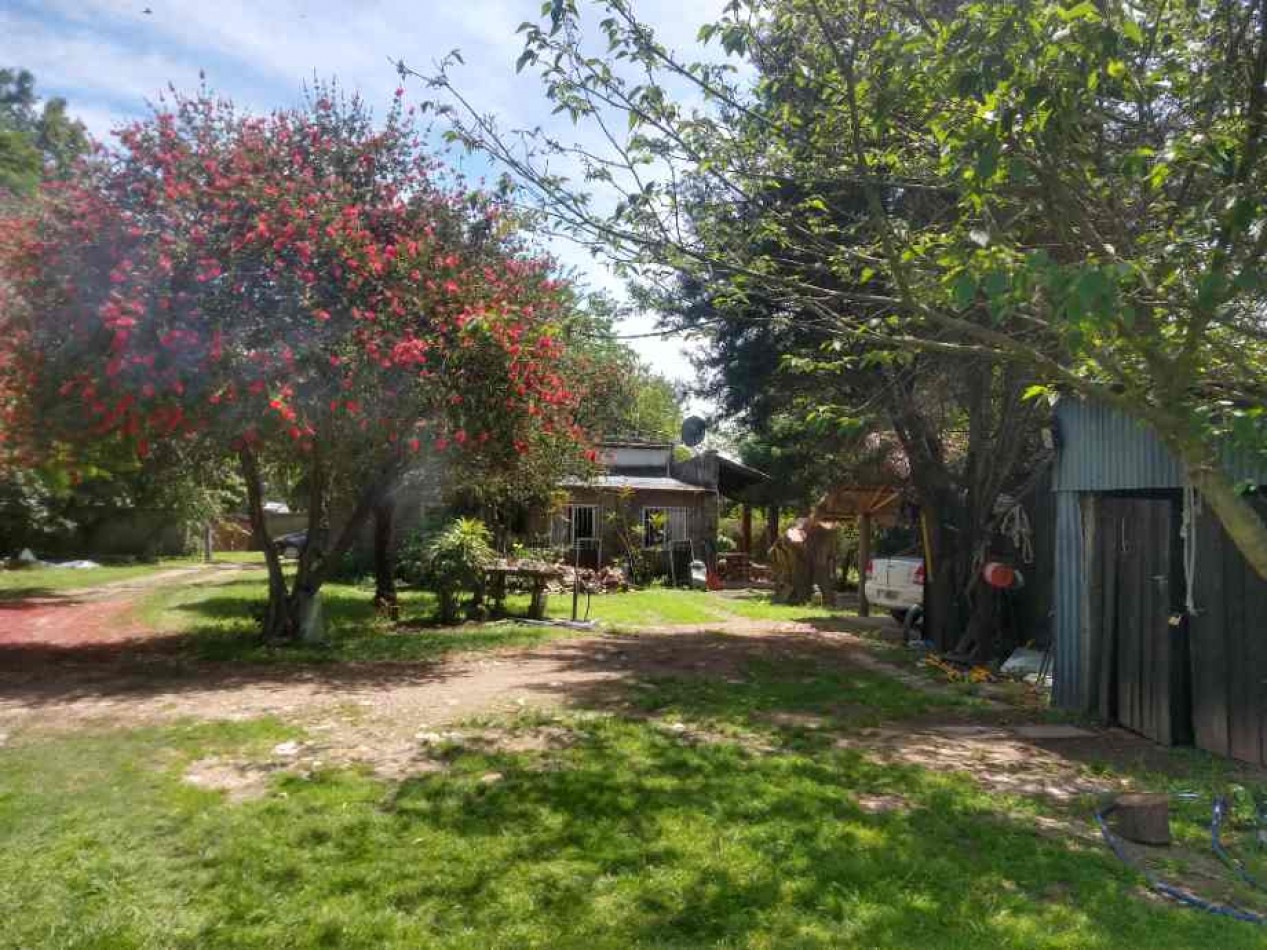 Venta