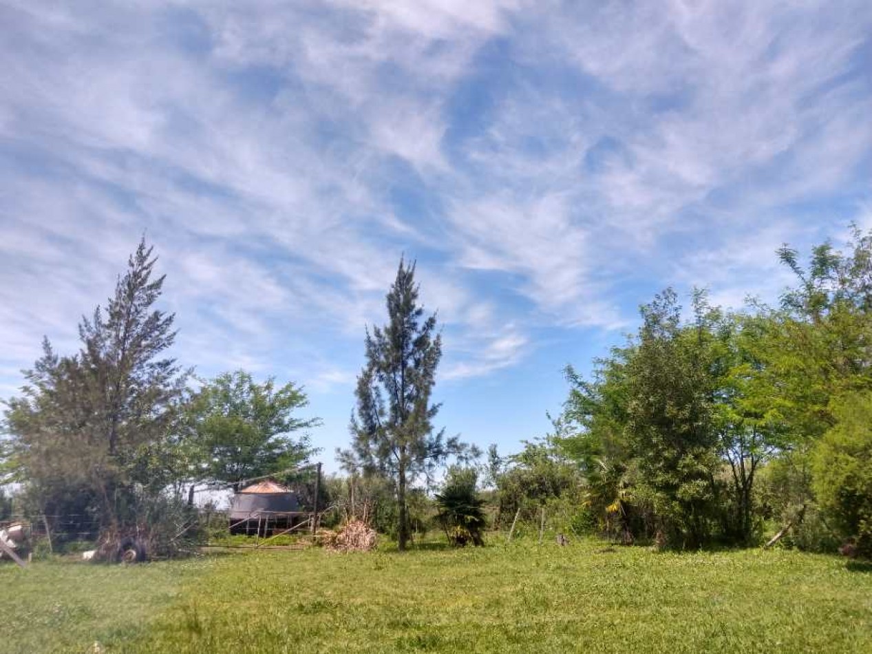 Venta